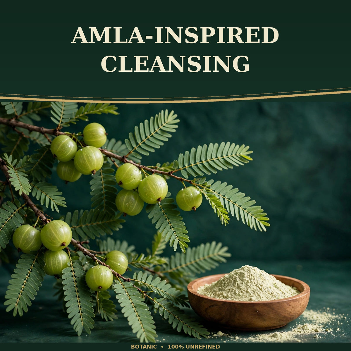 Botanic 100% Unrefined Amla Shampoo - 8 fl oz